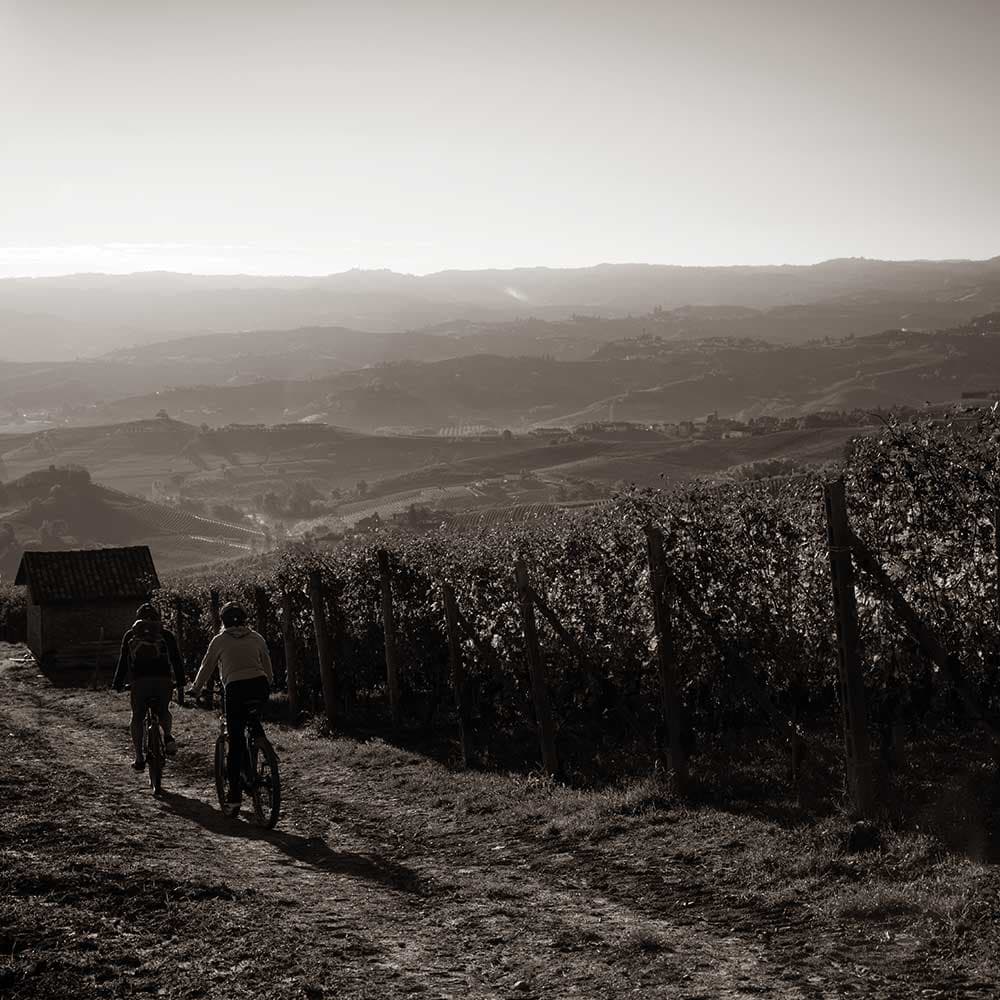 Ebike nelle Langhe